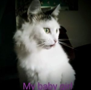 Meet your Posher, Diana